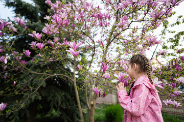 Preschooler girl in pink jacket enjoying nice spring day near magnolia blooming tree. Springtime activities.