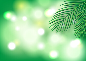 Obraz na płótnie Canvas Leaf on green bokeh background.