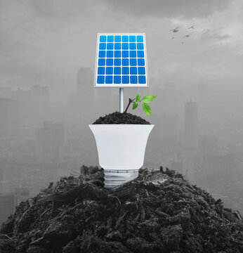 Solar cell and fresh green tree leaves on soil with light bulb over pollution city tower and skyscraper, Green ecology and saving energy concept