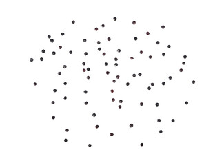 black quinoa on transparent png.