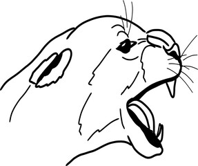Hand drawn, angry cougar head