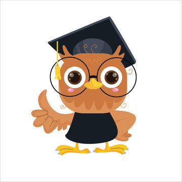 vector cartoon illustration of a cute owl giving a thumbs up