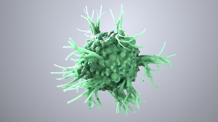 3d rendering of a dendritic cell, antigen presenting cell, APC, immune cell - obrazy, fototapety, plakaty