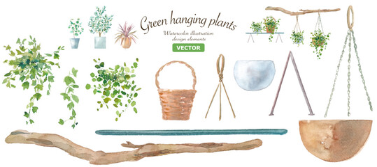 蔓植物とハンギングバスケットの水彩イラスト。コーディネイト可能な植物とガーデニング用品。ベクター（アイビー、ワイヤープランツ、流木など）