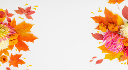 autumn leaves and  flowers composition on white background