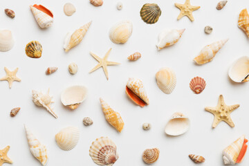 Summer time concept Flat lay composition with beautiful starfish and sea shells on colored table,...