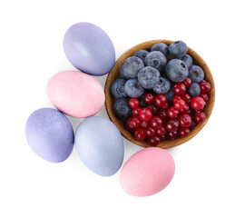Naturally painted Easter eggs on white background, top view. Blueberries and cranberries used for coloring