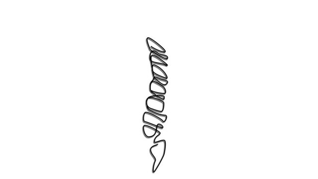 illustration of the spine on the background of a woman. 4K video illustration.