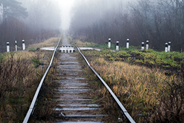 Fototapeta na wymiar Perspective view of an old abandoned railway in a foggy forest