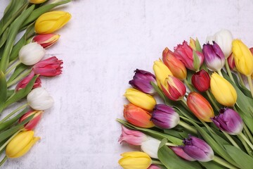 Beautiful colorful tulip flowers on white stone background, flat lay. Space for text