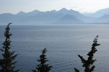 Mediterranean landscape in soft colors with calm sea and high mountains silhouettes in light light haze on skyline with cypresses on front