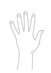人体 パーツ 白 指 爪 手の甲  線画 透過 png 背景透明