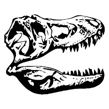 Prehistoric dinosaur skull vector illustration, t-rex skull