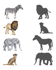 Fototapeta premium Find correct shadow. Realistic animals of africa. Educational game for children. Activity, watercolor illustration.
