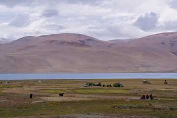 Obraz premium grasslands, Lake Moriri, mountains, cloudy sky. Beautiful scenery at the mountain lake, Ladakh, India