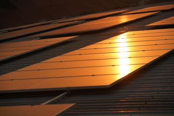 Fototapeta premium Sunset solar panel electric clean energy to the future. Solar panels on the meadow, sunset reflected on solar panel on rooftop. Green energy concept