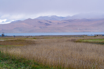 grasslands, Lake Moriri, mountains, cloudy sky. Beautiful scenery at the mountain lake, Ladakh, India