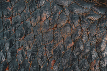 The texture of metal feathers. Metal work.