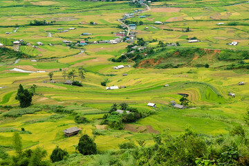 Obraz premium terraced rice fields