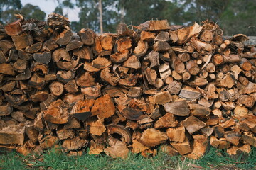 wide stack of firewood sitting on green grass with trees in the background