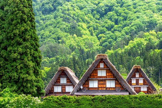Historical Japanese Village. Shirakawa-go, Ono District, Gifu Prefecture, Japan