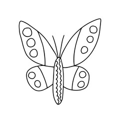 Vector butterfly urticaria hand drawn sketch