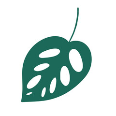 Vector monstera flat illustration. Monstera leaf isolated