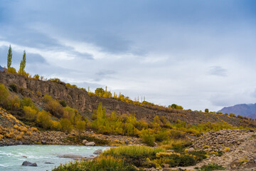 Indus River, the tree, mountain and cloudy sky at Manali town, Ladakh, India