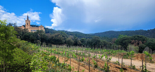 A beautiful building with a tower in the mountains. Vineyards. Catalonia, Spain, San Pere del Bosch.