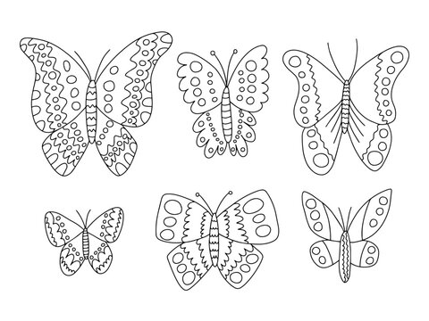 Different kinds butterflies vector hand drawn set. Black and white butterflies doodle set. Cabbage, peacock butterfly and purple emperor