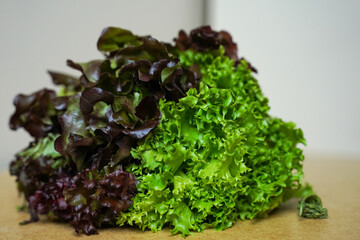 Green and blue lettuce leaves. Organic lettuce.