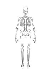 Skeleton Line Drawing Spaceman Hand Drawn Graphic Retro Illustration Overlay Layer Illustration