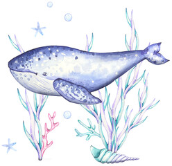Watercolor composition with blue whale and algae