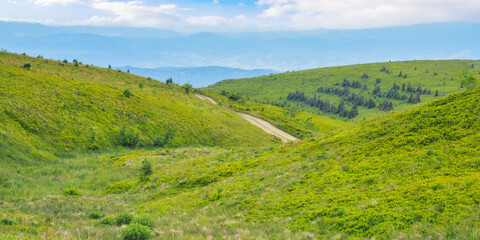 meadows of carpathian mountain. travel ukraine