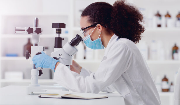 Microscope, sample analysis and woman scientist in a lab for science, covid and research. Laboratory, innovation and female health expert checking corona, medicine or results while working on a cure
