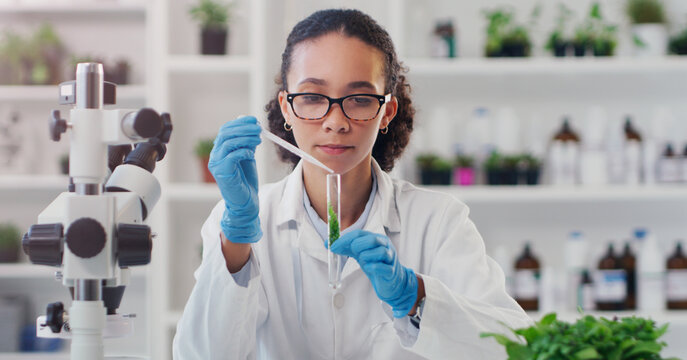 Lab worker, woman ecology scientist and test tube with chemical of employee with science work. Laboratory, medical and plant for disease, virus and health analysis doing futuristic research with tech