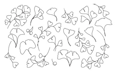 Collection of hand drawn one line Ginkgo Biloba leaves and branches. Floral elements for wedding invitations, posters, web, etc.
