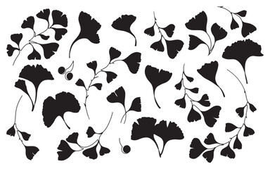 Collection of hand drawn silhouette Ginkgo Biloba leaves and branches. Floral elements for wedding invitations, posters, web, etc.