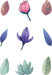 Flower And Leaf Set, Vector Watercolor Flower Design Set