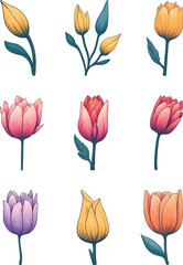 Fototapeta premium Tulip Flower Set, Watercolor Flower Vector Design Set