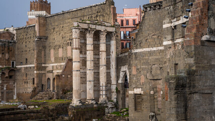 Naklejka premium forum romanum rzym budowle włochy bolonia morze
