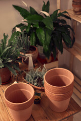 Houseplants and clay pots ready for new plants at home.