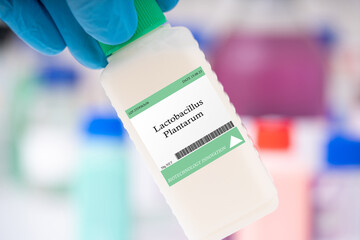 Lactobacillus plantarum