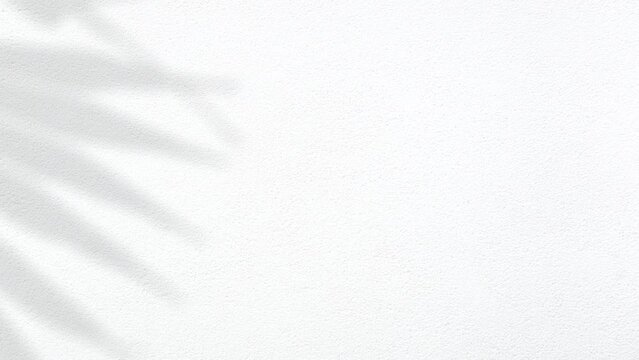 Shadow Of Palm Leaf Moving Gently In Wind On White Plaster Wall Background, Backdrop