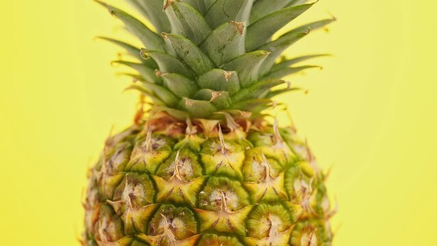 ripe pineapple isolated. Bright pineapple in minimal style. Fresh pineapples. Tropical fruits. Vegetarianism. Summer fruits.	