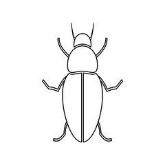 Silhouette of a beetle of the Coleoptera family on a white background.
