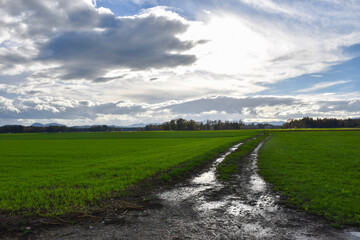 landscape with road, slovenia