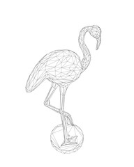 Wireframe flamingo vector illustration isolated on white background. Exotic tropical bird. Zoo animal collection. Cute cartoon character. Decoration element. 3D design. White background. Isolated..