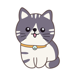 Kitten