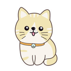 Kitten